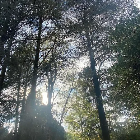 Ca Lazzaroni 3* Годзано